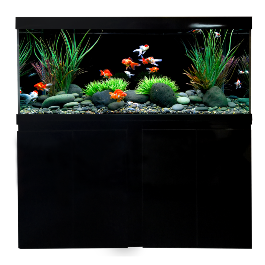 Aquariums