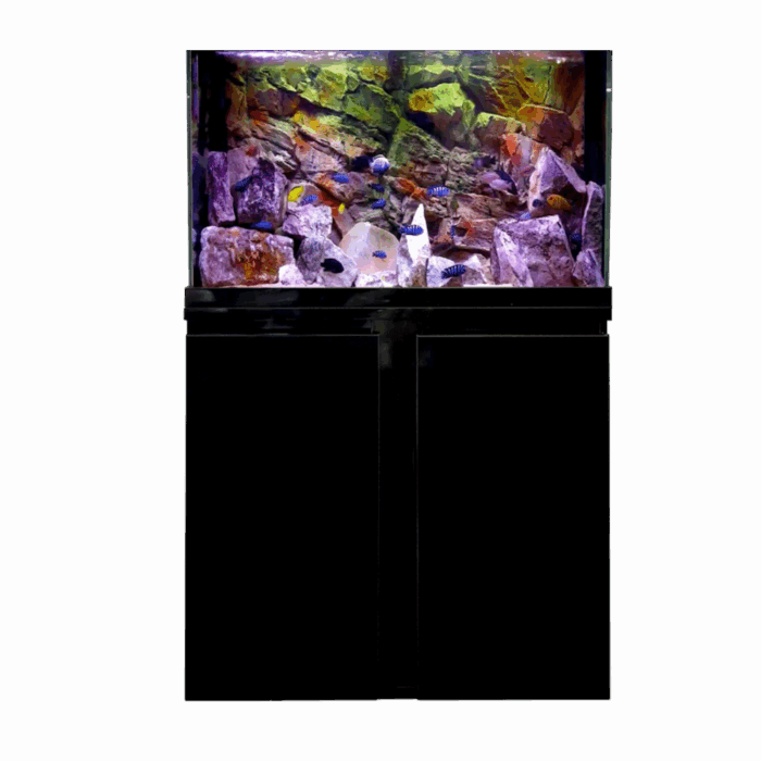 Open Top Aquarium – 80 cm - 140 L + Cabinet