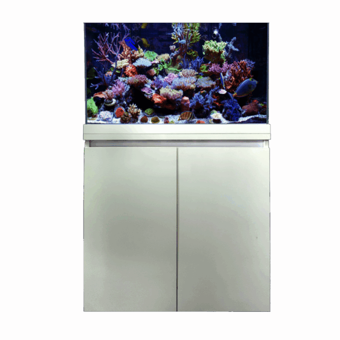 Open Top Aquarium – 80 cm - 140 L + Cabinet