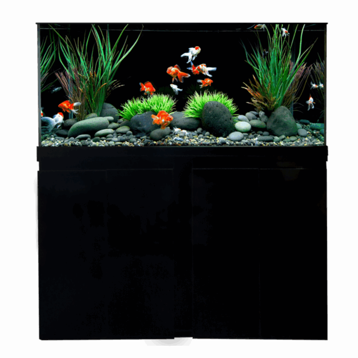 Open Top Aquarium – 100 cm - 210 L + Cabinet 