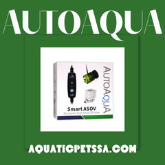 Collection image for: AutoAqua