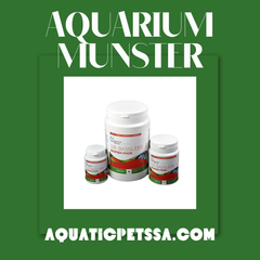 Collection image for: Aquarium Munster