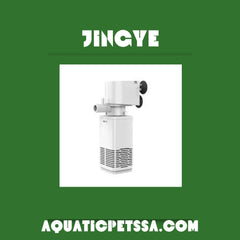 Collection image for: Jingye