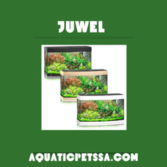 Collection image for: Juwel
