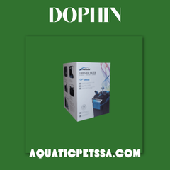Collection image for: Dophin