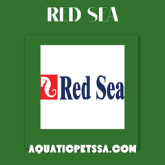 Collection image for: Red Sea
