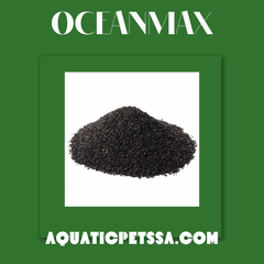 Collection image for: OceanMax