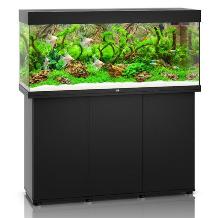 Juwel Rio 240  premium glass aquarium - Black