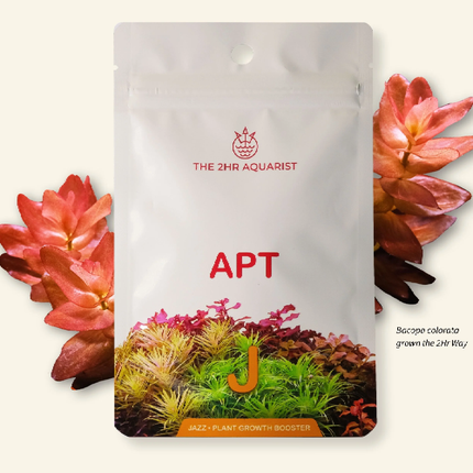 2Hr Aquarist APT Jazz 18 Root Tabs