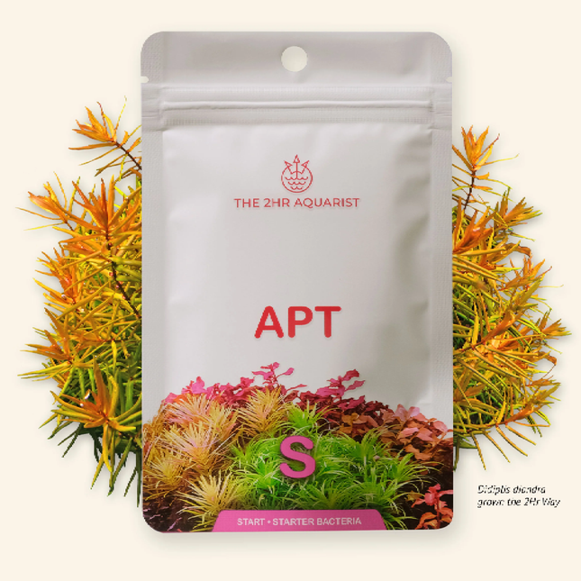 2Hr Aquarist APT Start 45g
