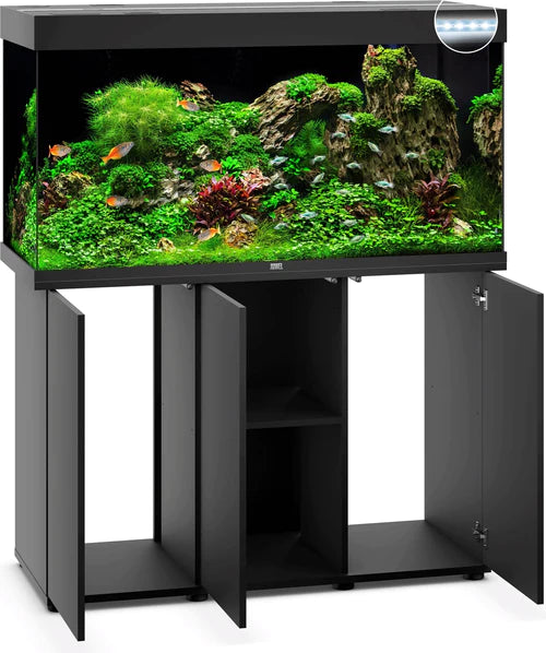 Juwel Rio 350 LED Aquarium with Modern Black Cabinet