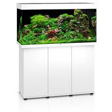Juwel Rio 350 LED Aquarium with Modern White Cabinet