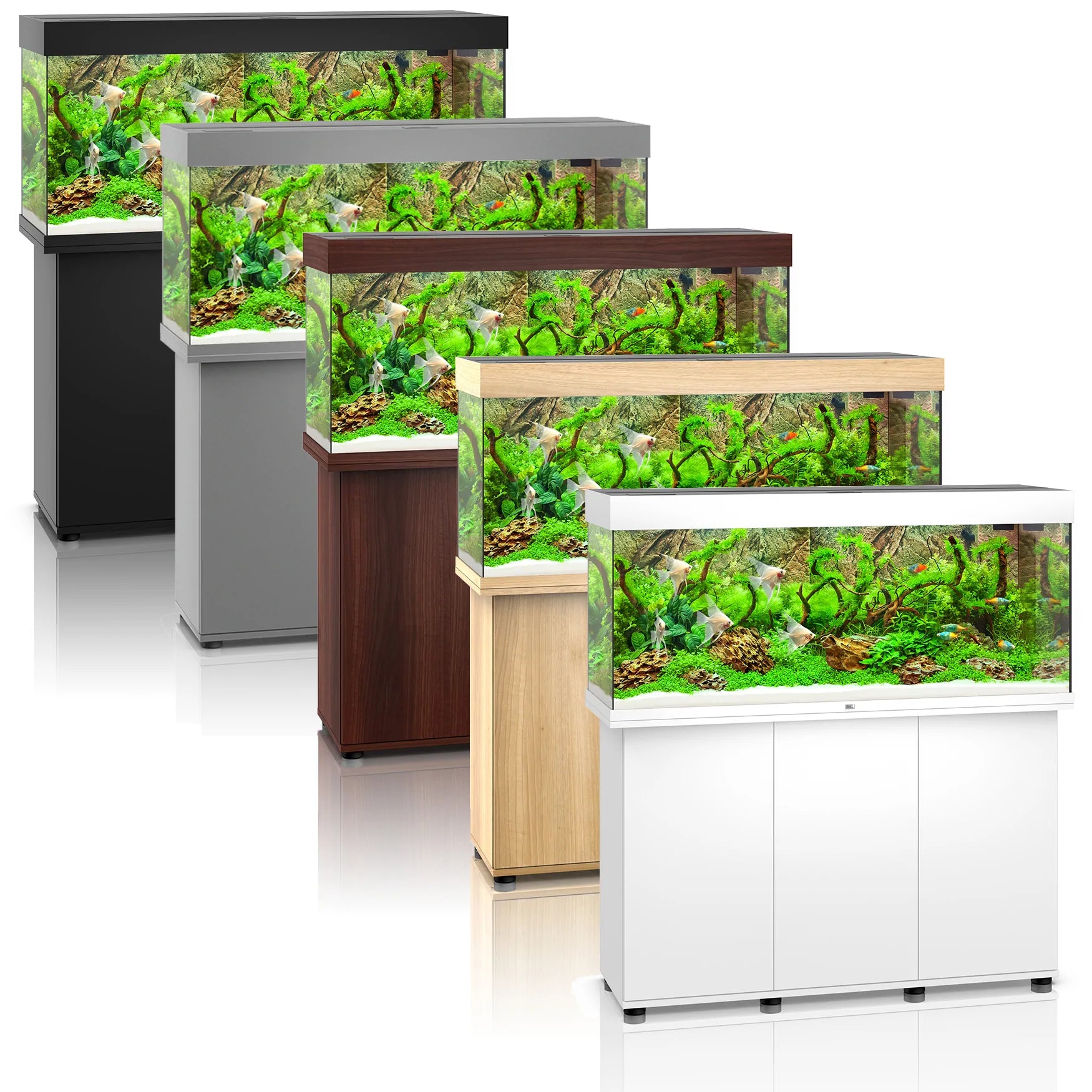 Juwel Rio 350 LED Aquarium with Modern Grey Cabinet