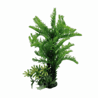 PP8234