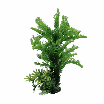 Plastic Plant