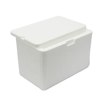 APSA Polystyrene Cooler Box – 22 Litre