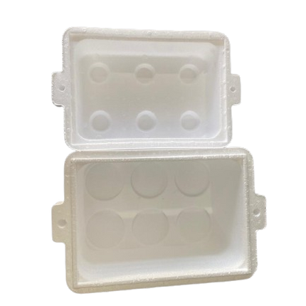 APSA 6-Pack Deep Polystyrene Cooler Box
