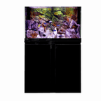 Open Top Aquarium – 80 cm - 140 L + Cabinet