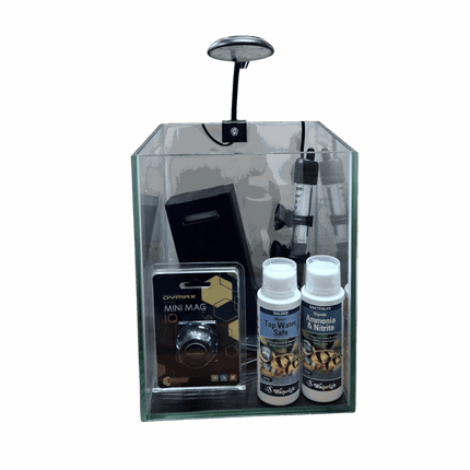 AquaJapan SQ Aquarium Kit – 20x20x25cm