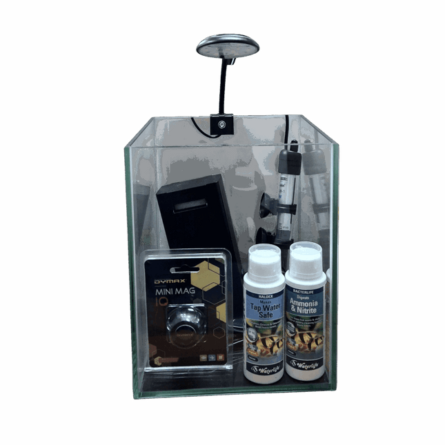 AquaJapan SQ Aquarium Kit – 20x20x25cm