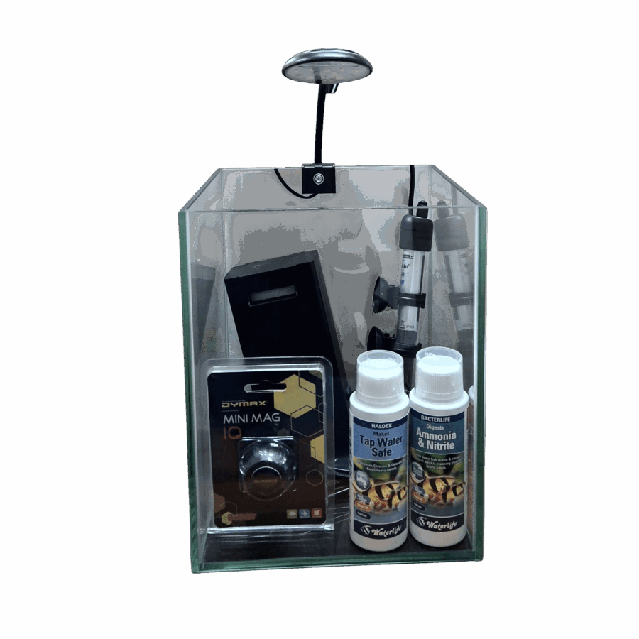 AquaJapan SQ Aquarium Kit – 20x20x25cm