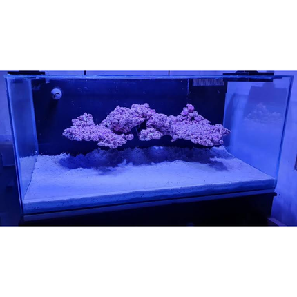 Aquaforest Rocks Shelf 18kg