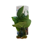 Aquarium Plastic Plant – PP6412