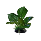 Aquarium Plastic Plant – PP6415