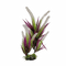 Plastic Plants 
