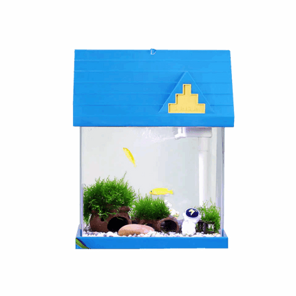 Aquarium TF-250 / Blue House