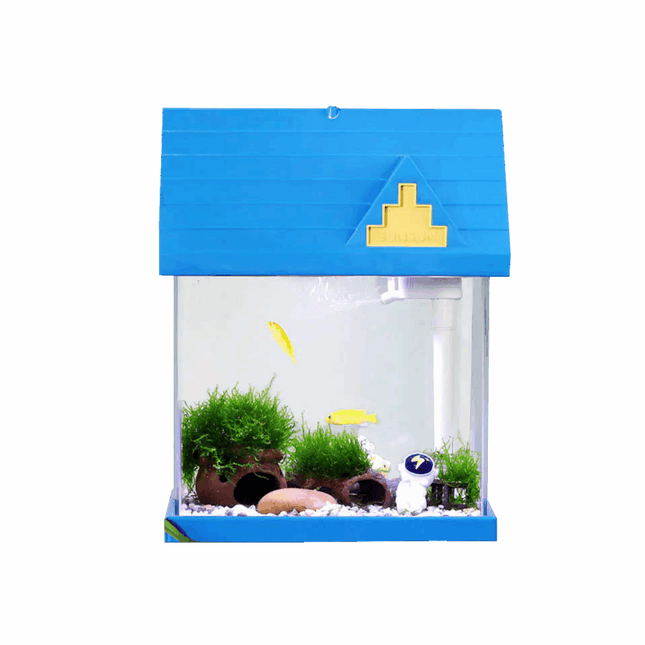 Aquarium TF-250 / Blue House