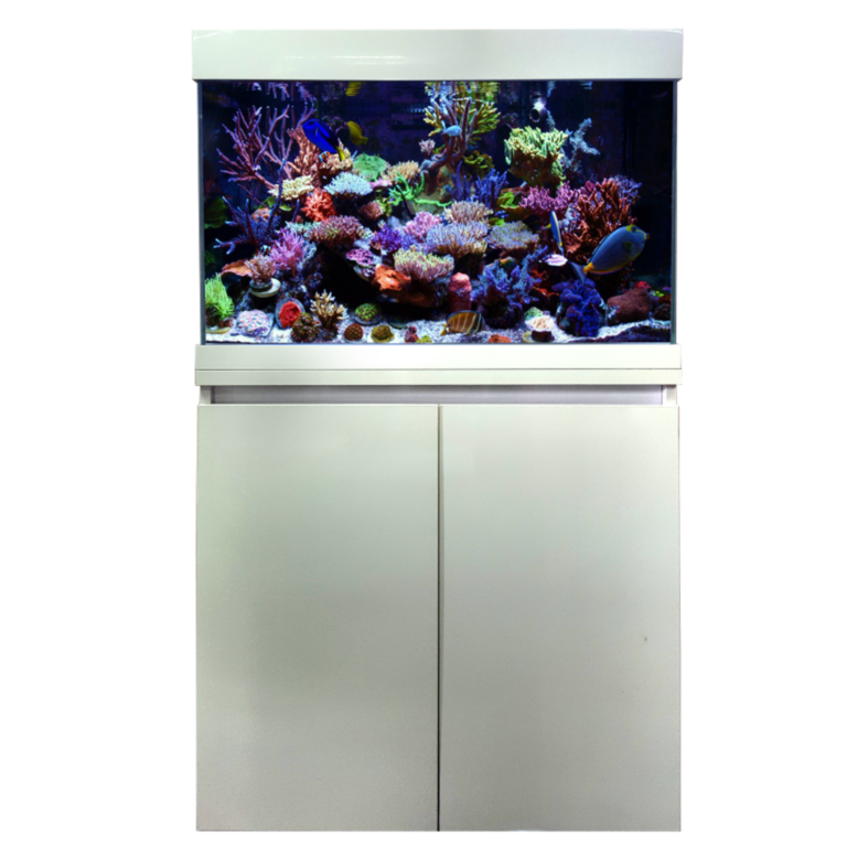 Aquarium – 80 cm - 180 L White Cabinet + Sump - 790 L x 410 W x 540 H
