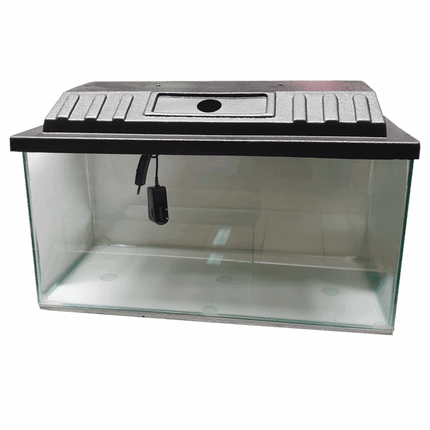 Aquarium with Canopy + LED Light(s)