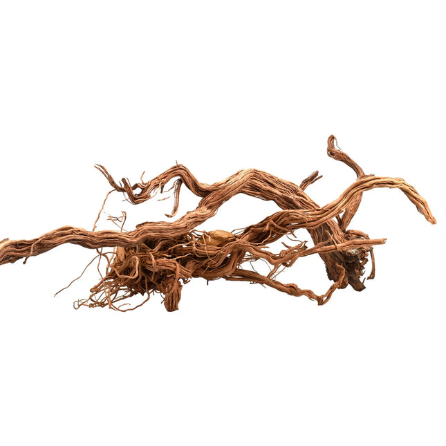Azalea Wood (60–90cm) – Sold per Kg