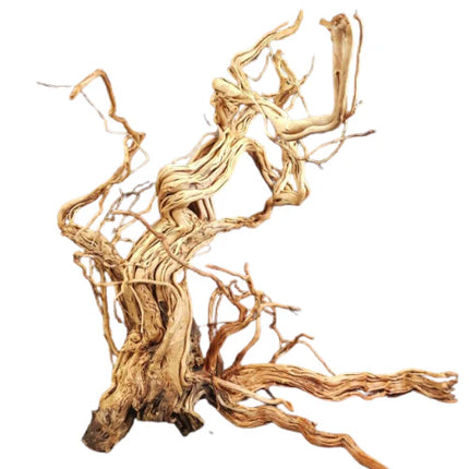 Azalea Wood (90–120cm) – Sold per Kg