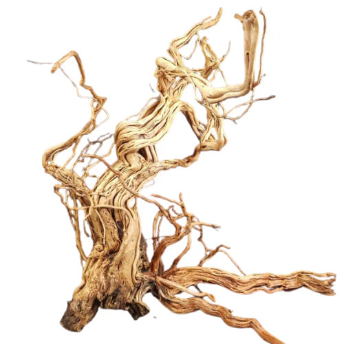 Azalea Wood (90–120cm) – Sold per Kg