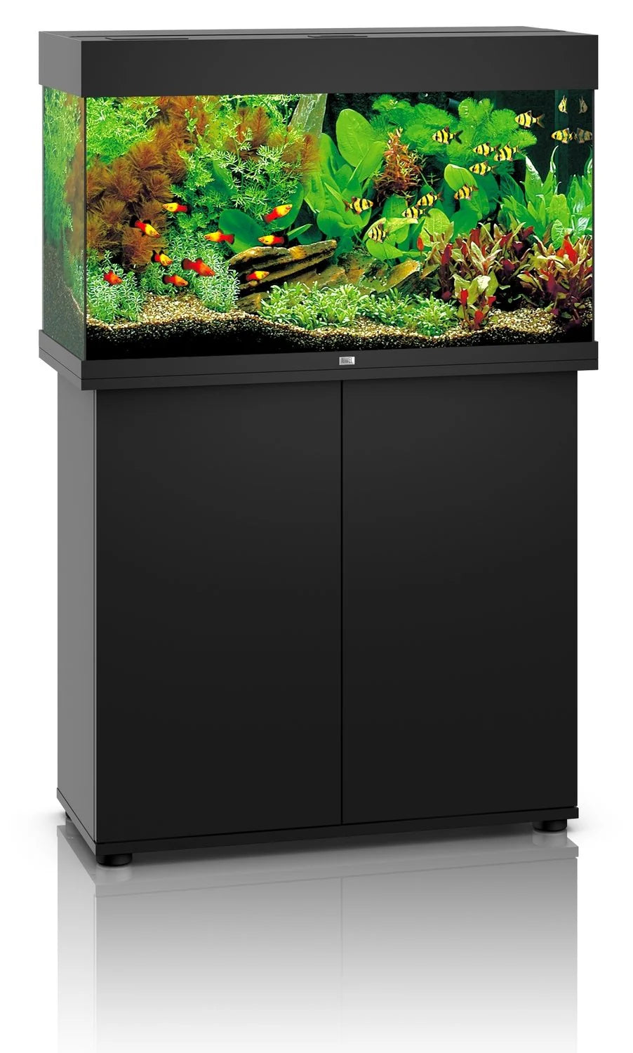 Black Juwel Rio 125 Aquarium and Cabinet Combo