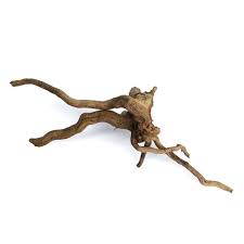 Black Spider Wood (20–40cm) – Natural Aquascaping Driftwood