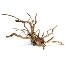 Black Spider Wood (20–40cm) – Natural Aquascaping Driftwood