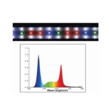 DOPHIN LED-1089 RGB Aquarium Light – 45cm / 17W