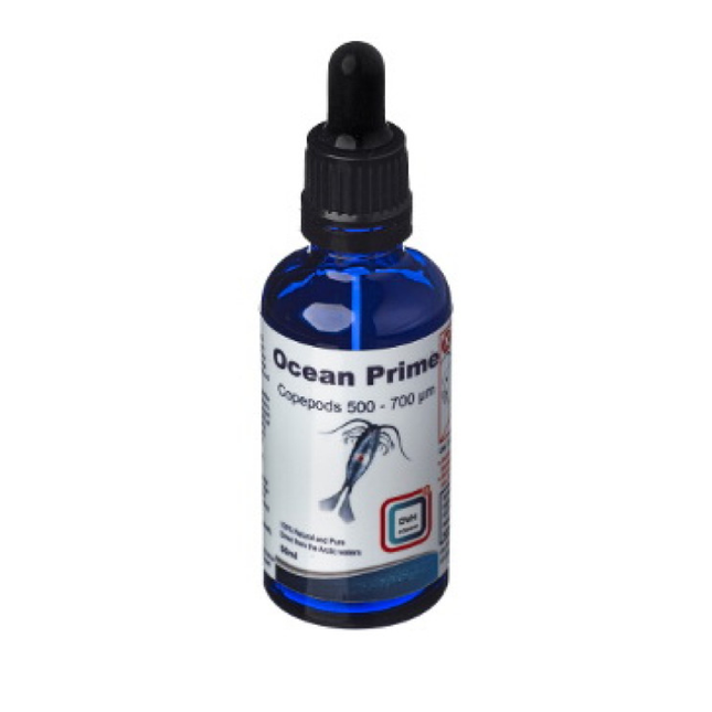 DVH Ocean Prime Copepods (500–700 Microns)