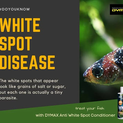 DYMAX Anti White Spot – 150ml-300ml