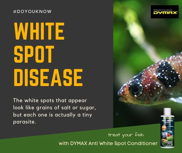 DYMAX Anti White Spot – 150ml – Effective Treatment for Ich & External Parasites