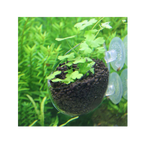 DYMAX Crystal Cultivating Pot – Stylish & Practical Container for Aquatic Plants