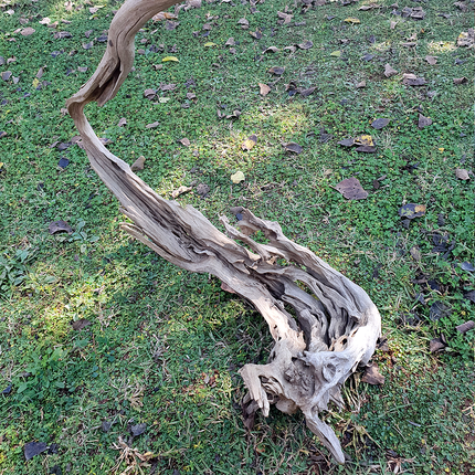 Epic Aquatics Driftwood 20kg