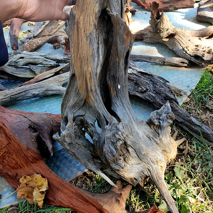 Epic Aquatics Driftwood 20kg
