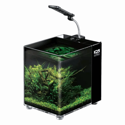 Dymax IQ5 Mini Acrylic Aquarium – Black