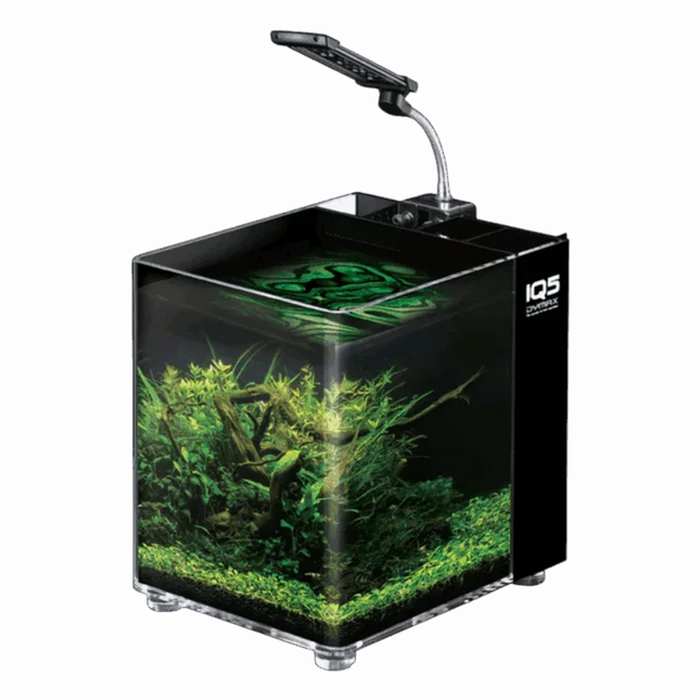 Dymax IQ5 Mini Acrylic Aquarium – Black