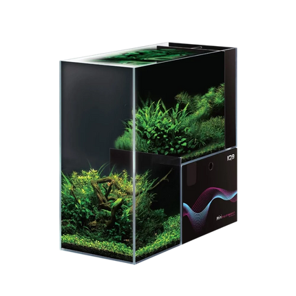 Dymax IQ9 Mini Aquarium – Freshwater