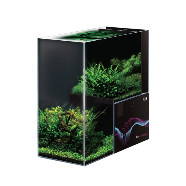 Dymax IQ9 Mini Aquarium – Freshwater